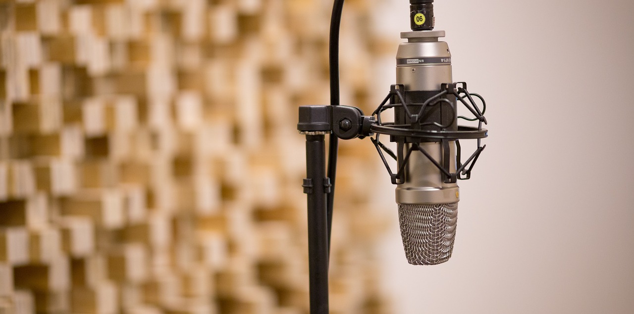 mic, recording, record-3035236.jpg